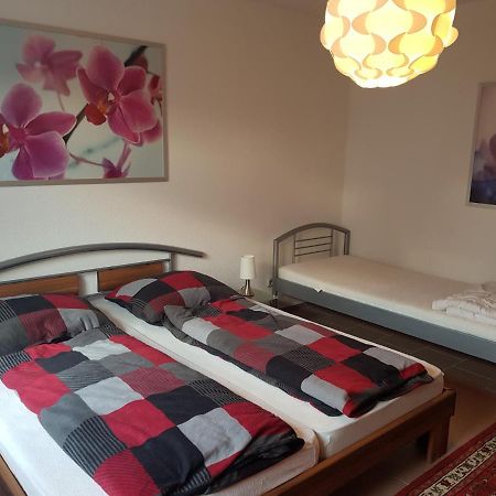 Apartament Nicoles Niedschloesschen Rehlingen-Siersburg Zewnętrze zdjęcie